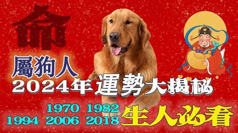 1982屬狗2023運勢顏色|【1982年生肖】1982年生肖狗完整解析！2023年運勢、桃花、工。